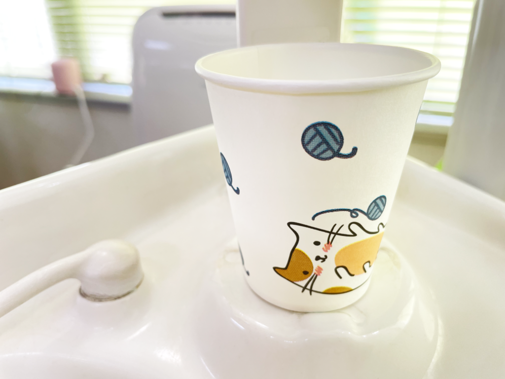 猫ちゃんの紙コップ